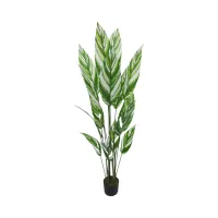 arthome-170-cm-tanaman-artifisial-variegated-skybird---putih
