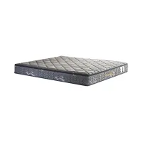 informa-sleep-160x200x20-cm-kasur-latex-bonell-springbed-coco-fiber