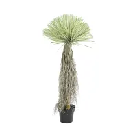 informa-120-cm-tanaman-artifisial-yucca-rostrata-tree