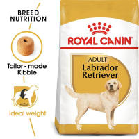 royal-canin-3-kg-makanan-anjing-kering-adult-labrador