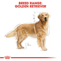 royal-canin-3-kg-makanan-anjing-kering-adult-golden-retriever