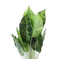 Gambar Tanaman Artifisial Dieffenbachia