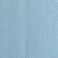 Gambar Informa Sarung Bantal 30x50 Cm Velvet Polos - Biru Muda