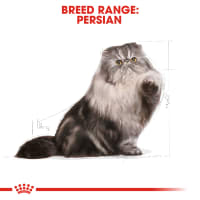 Gambar Royal Canin 4 Kg Makanan Kucing Kering Adult Persian