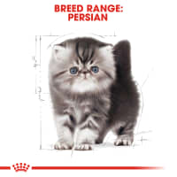 Gambar Royal Canin 2 Kg Makanan Kucing Kering Kitten Persian