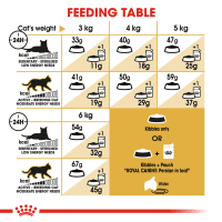 Gambar Royal Canin 4 Kg Makanan Kucing Adult Persian
