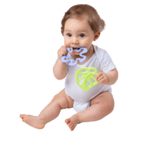 Gambar Playgro Kerincingan Bayi Teether In My Garden Nature Cpl156