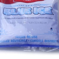 Gambar Rubbermaid Blue Ice Gel Pendingin 17x20.4 Cm