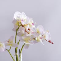 Gambar Bunga Artifisial Anggrek Phalaenopsis - Putih