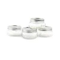 jarden-home-236-ml-set-4-pcs-ball-mason-stoples-platinum-half-pint