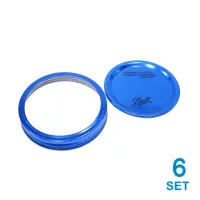 ball-set-6-pcs-tutup-stoples-wide-mouth---biru