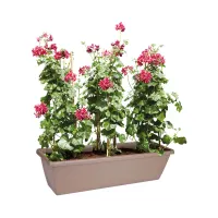 elho-barcelona-pot-tanaman-60-cm---cokelat-muda