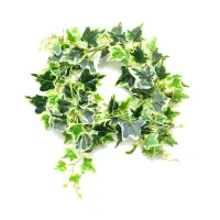 arthome-2.2-mtr-bunga-artifisial-wreath-ivy---putih