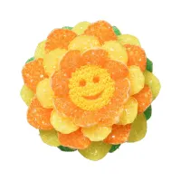 scrub-daddy-spons-pembersih-daisy-refill