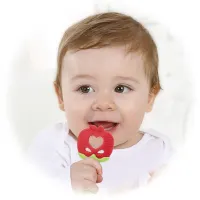 edison-mama-teether-fruit-apple