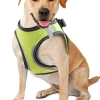 pawise-ukuran-xs-harness-anjing-doggy-safety