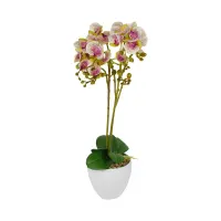 arthome-66-cm-bunga-artifisial-orchid-pandurata-dengan-pot