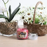 candle-lite-apple-cinnamon-lilin-aromaterapi-85-gr