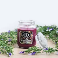 candle-lite-black-cherries-lilin-aromaterapi-510-gr