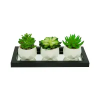 informa-set-tempat-tanaman-27x10x12-cm---hitam/putih