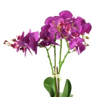 bunga-artifisial-anggrek-phalaenopsis---ungu