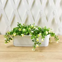 clover-pot-tanaman-slim---putih