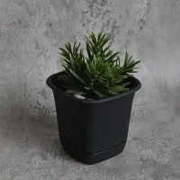 clover-14-cm-pot-bunga-persegi---hitam