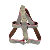 paws-n-tail-ukuran-m-harness-anjing-reflective---merah