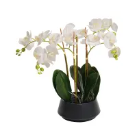 informa-bunga-artifisial-orchid-25x25x70-cm---putih