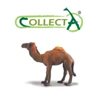 collecta-figure-dromedary-camel-88208