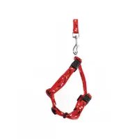 m-pets-catago-harness-&-tali-kucing---merah