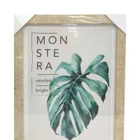 selma-30x40-cm-hiasan-dinding-printed-picture-monstera