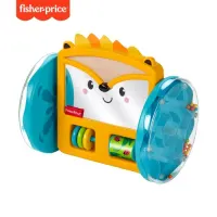 fisher-price-play-and-crawl-hedgehog-mirror-gjw14