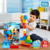 mega-bloks-big-building-bag-dch63(80)