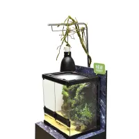 fishland-40x30x45-cm-terrarium-reptil