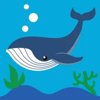 kiddy-star-20x20-cm-whale-paint-by-numbers