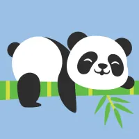 kiddy-star-20x20-cm-bamboo-panda-paint-by-number