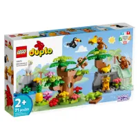 lego-duplo-wild-animals-of-south-america-10973