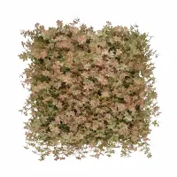 cc-grass-50x50-cm-tanaman-dinding-buatan-gynostemma