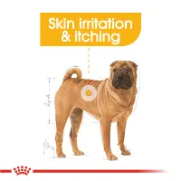 royal-canin-3-kg-makanan-anjing-medium-dermacomfort