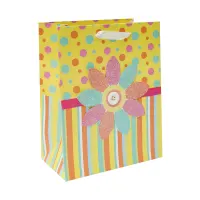 hallmark-card-generic-paper-bag-medium