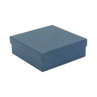 pendopo-15x15x5-cm-kotak-penyimpanan-dengan-tutup---biru