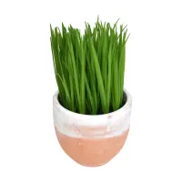 arthome-18-cm-rumput-artifisial-mini-pot-teracota