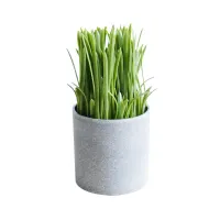 arthome-17-cm-rumput-artifisial-dengan-pot