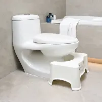 informa-poppy-bangku-pijak-toilet---putih
