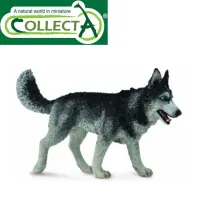 collecta-figure-siberian-husky-88707