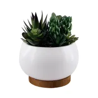 arthome-23-cm-tanaman-artifisial-succulent-mix-dengan-pot-putih