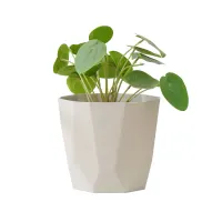 elho-b-for-rock-pot-tanaman-16-cm---abu-abu