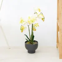 arthome-bunga-artifisial-orchid-3-stem-dengan-pot---putih