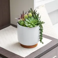 arthome-27-cm-tanaman-artifisial-succulent-mix-dengan-pot-putih